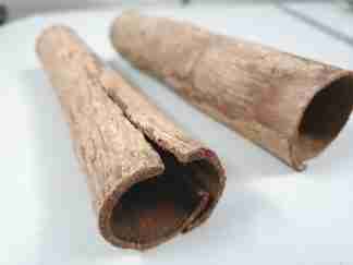 catappa tubes