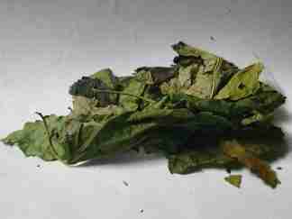 mulberry leaves