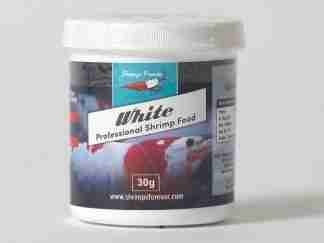 shrimps forever white