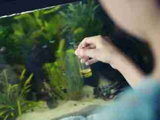 Water Care