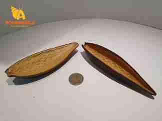 canoinhas pods