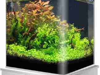 Aquariums