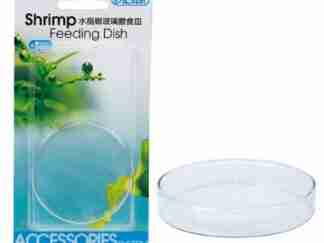 istra shrimp feeding dish/tray