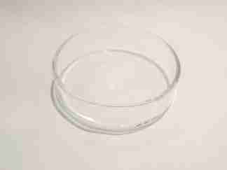 aquapoda shrimp feeding dish glass