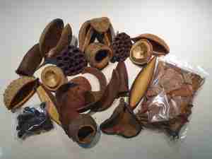 botanicals set