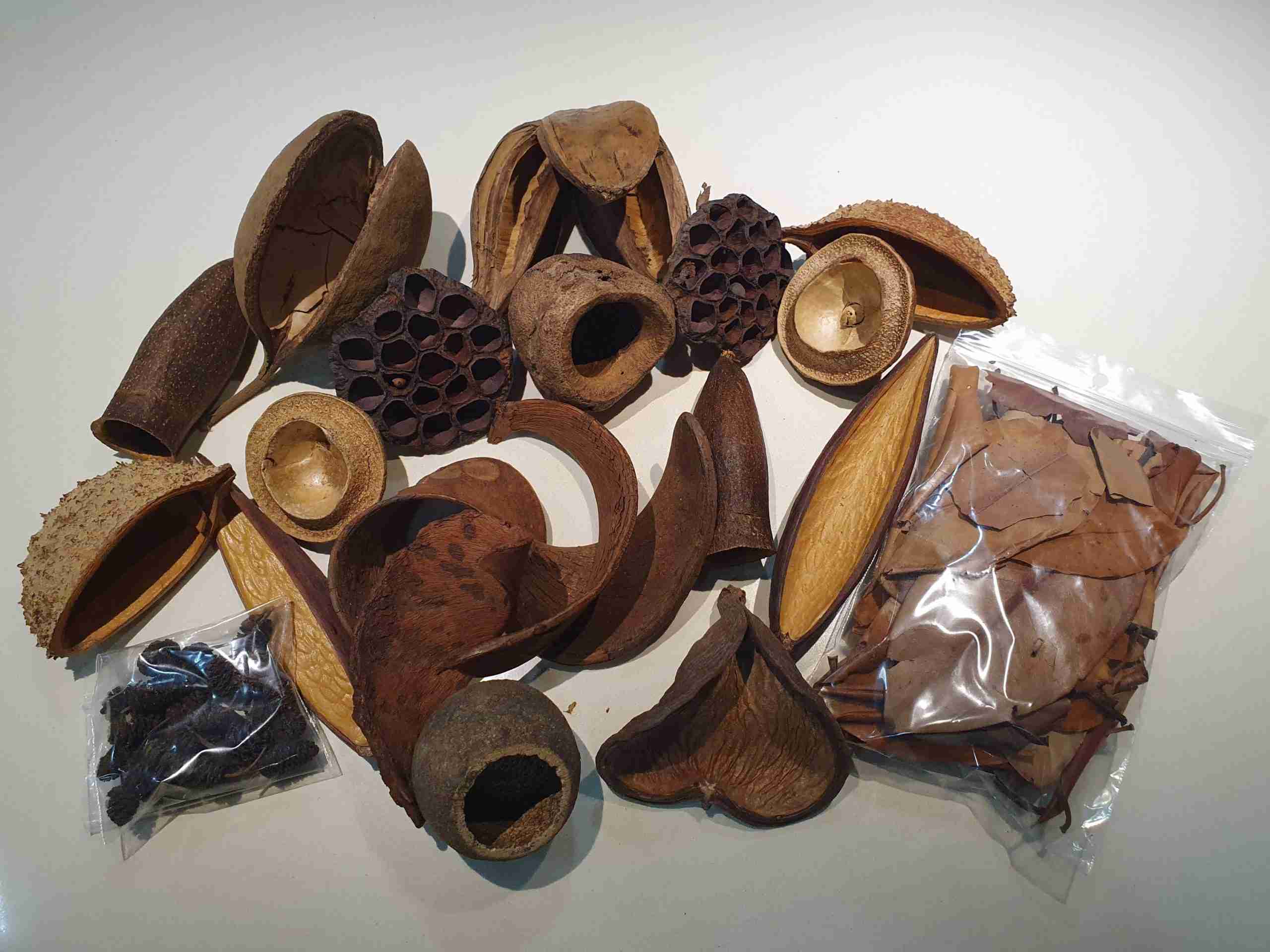 botanicals set