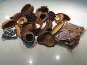 botanicals set