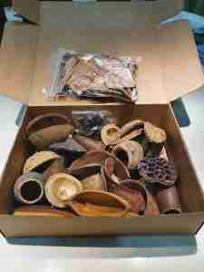 botanicals set