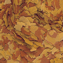 Tropical Vitality & Color Flakes
